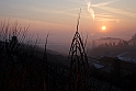 S. Damiano d'Asti - Alba_015